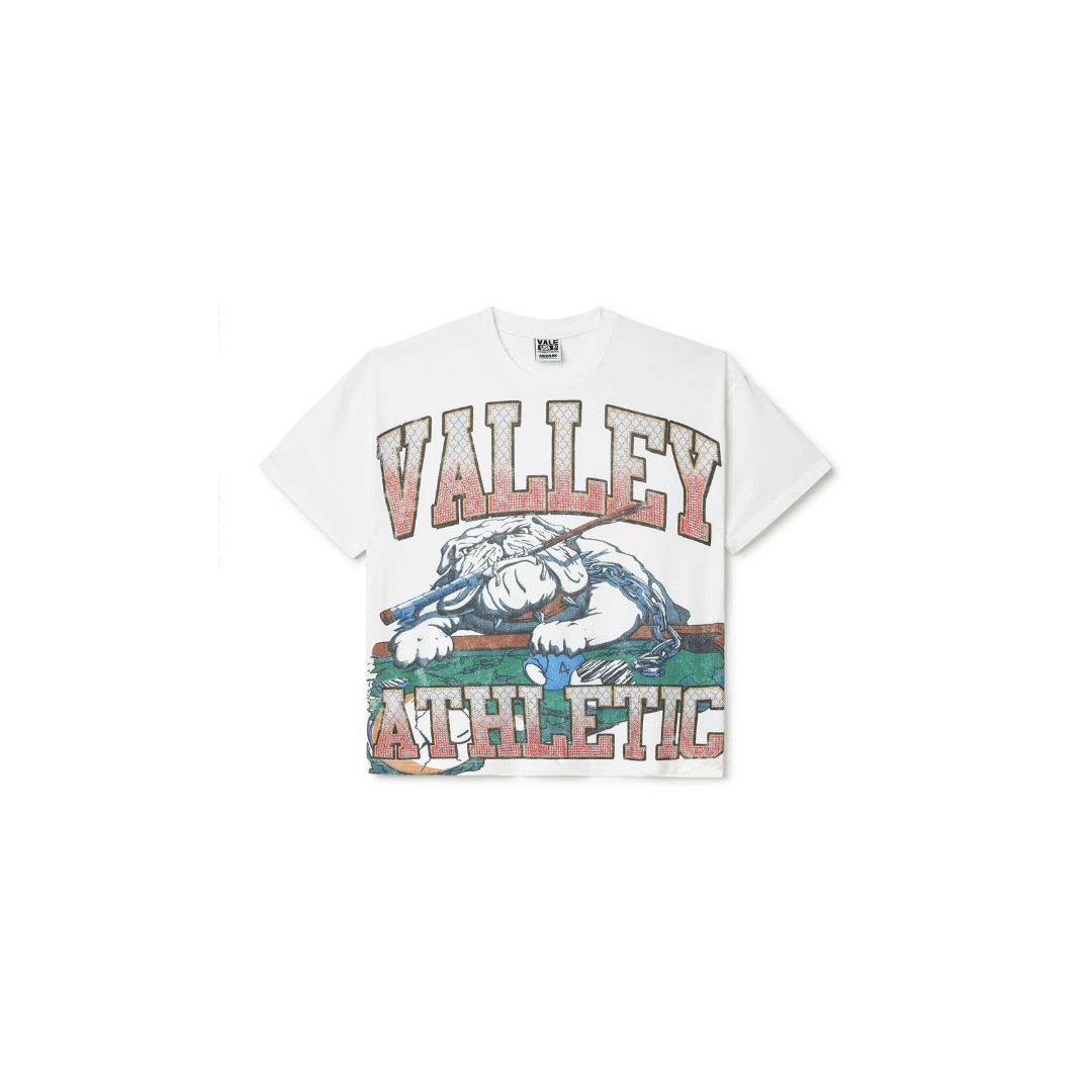 Valley Dreams - Vale Forever Dog Bling T-Shirt 'White'